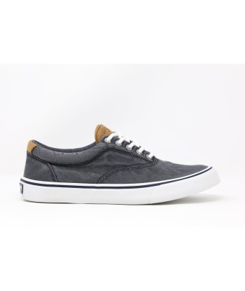 Sperry Striper II CVO Sneaker vente chaude votre 