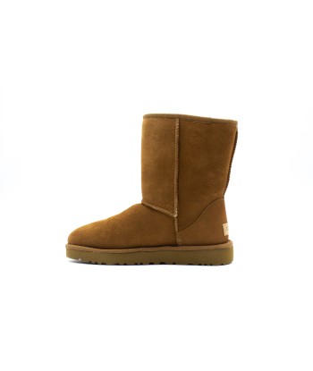 UGGS Classic II Short Comparez et commandez 